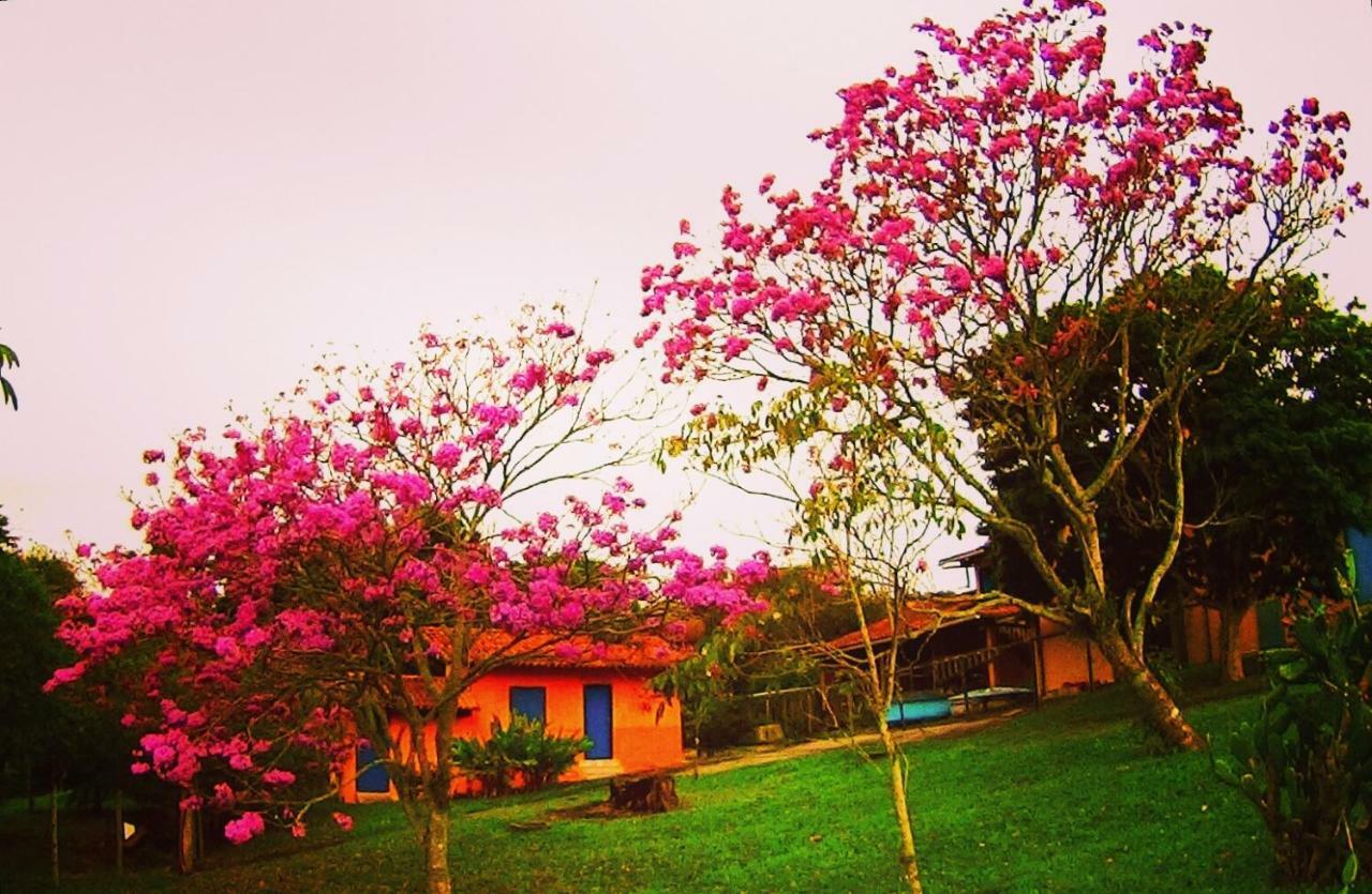 Studios Verdes Hospedagens São Pedro da Aldeia 外观 照片